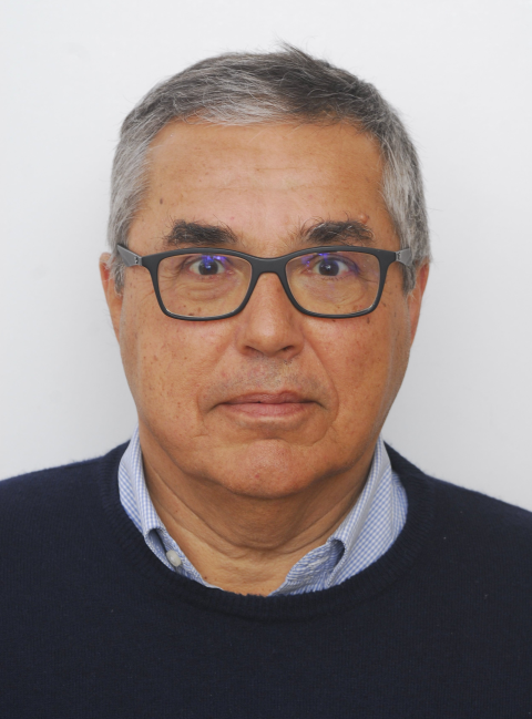 CERABOLINI BRUNO ENRICO LEONE