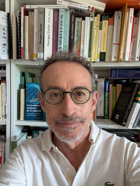VIANELLI ALBERTO