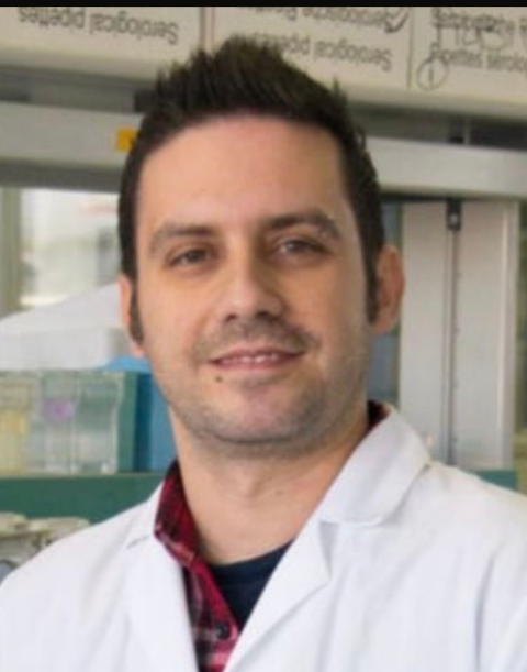 BRUNO ANTONINO